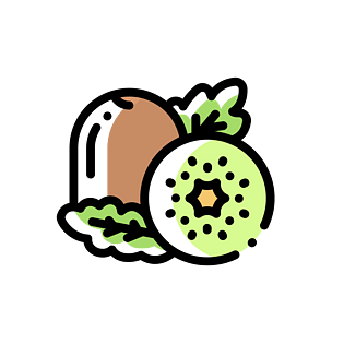 奇异果矢量图图片大全