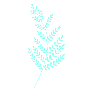 手绘食材食物免抠下载pngpsd2000*2000花草叶子绿色绿叶树叶免扣png免