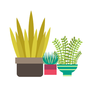 卡通小盆栽图片大全