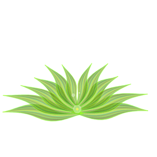 荷字夏荷荷莲花夏荷手绘莲花莲花水墨画莲花卡通莲花黄色莲花荷莲花荷