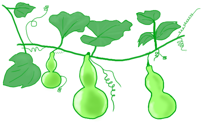 卡通质感叶子分隔符pngpsd2000*2000叶子装饰主题边框pngpsd2000*2000