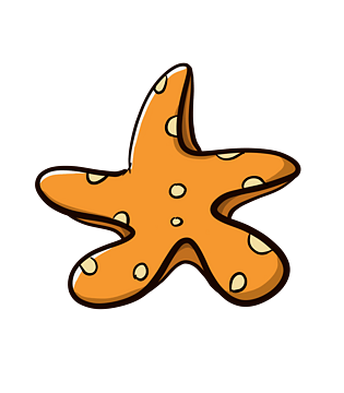 海星插画图片大全