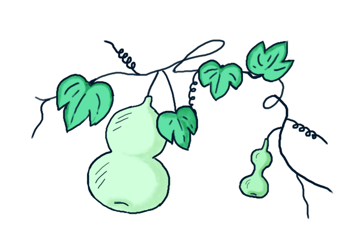 植物生长图片大全