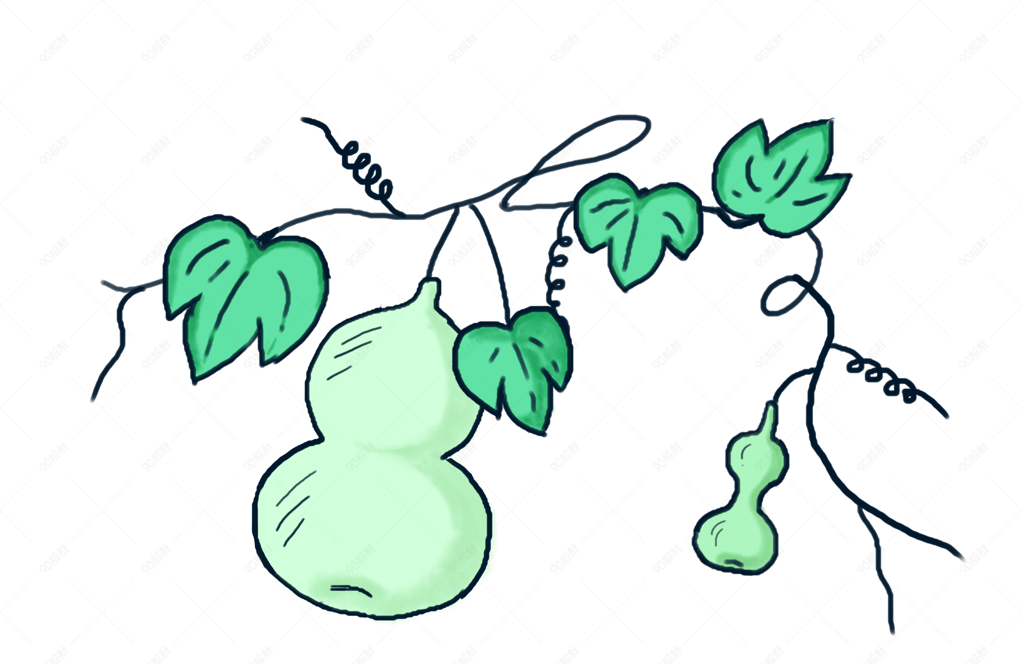 手绘绿色生长的葫芦