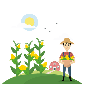 手绘秋收玉米免抠图pngpsd2000*2000卡通手绘秋季粮食采集插画pngpsd