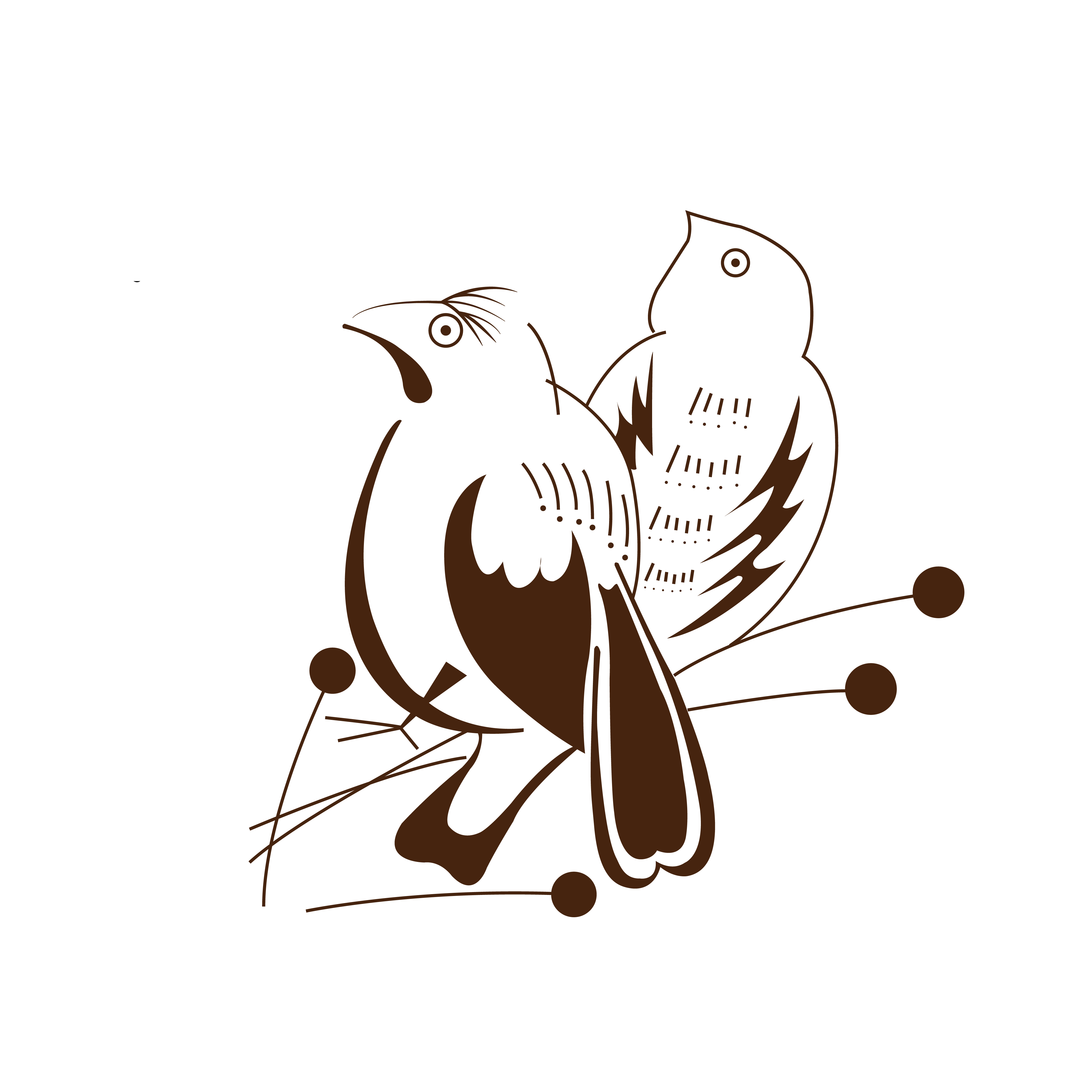 停留在树干的鸣鸟简笔画图片