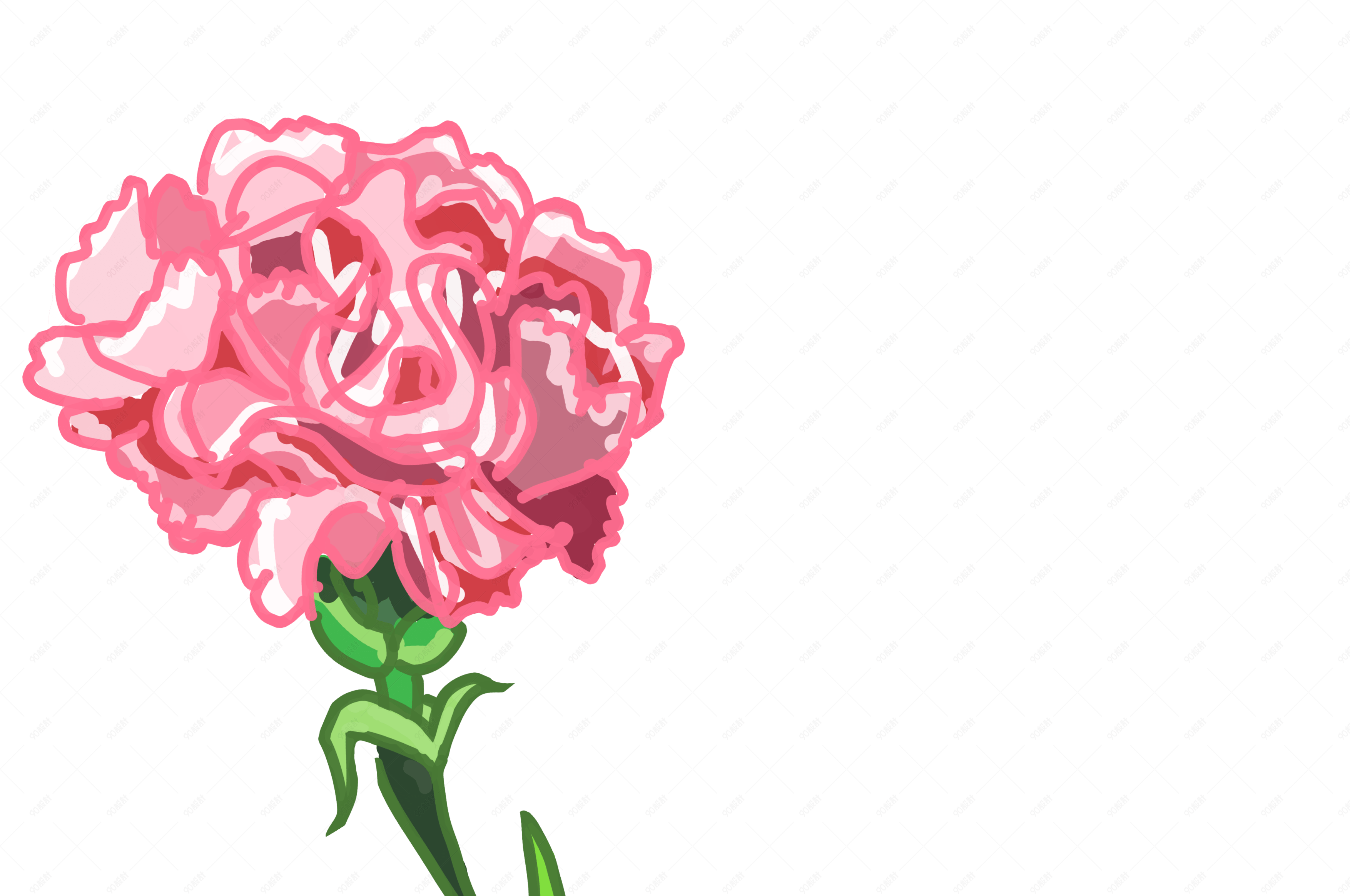 手绘花草花卉康乃馨插画