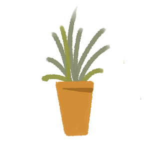 卡通小盆栽图片大全