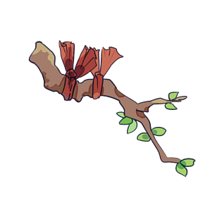 心圆矢量装饰图案pngpsd2000*2000同心创前程书法艺术字pngpsd2000*