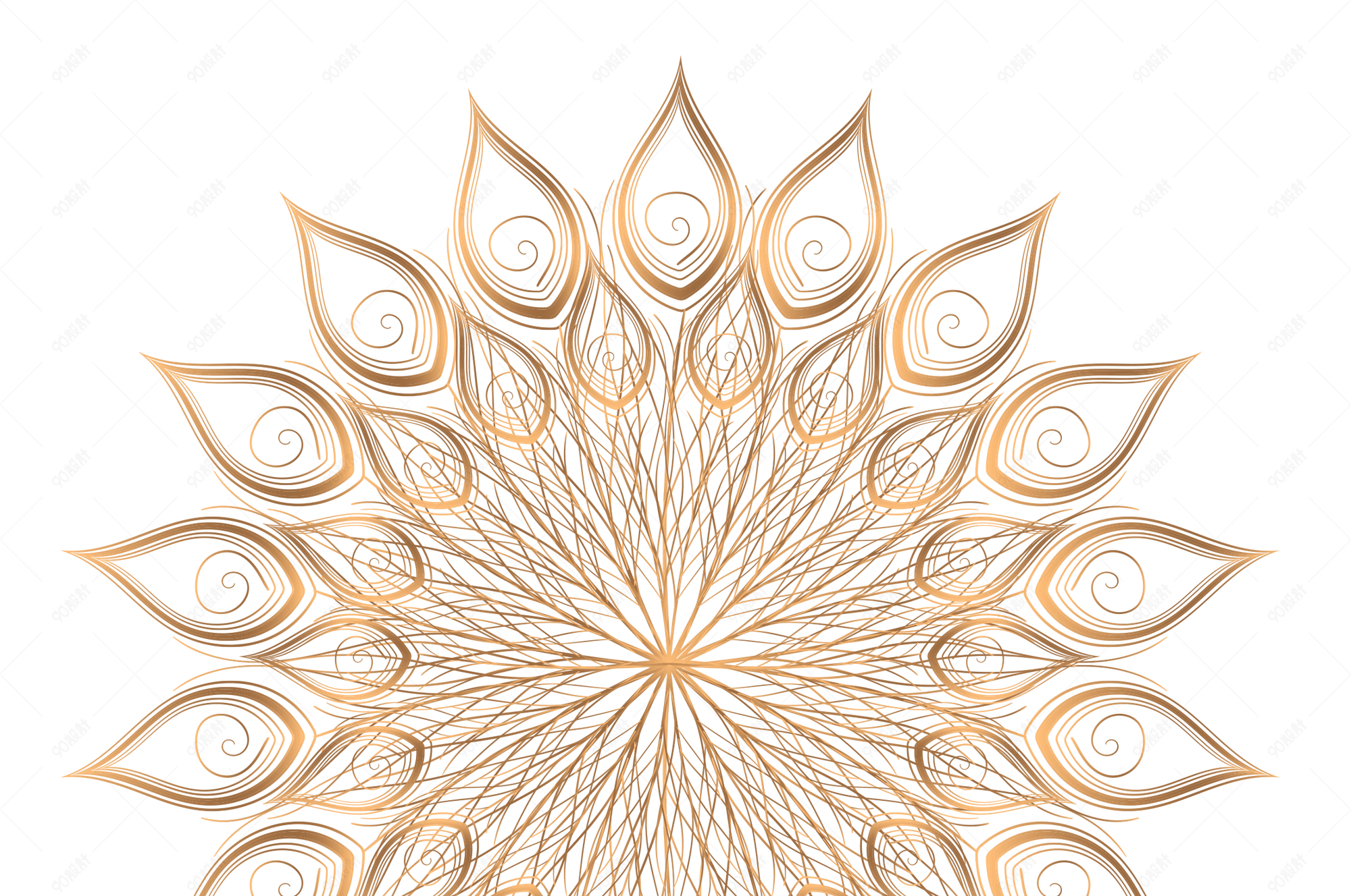 孔雀花纹装饰矢量图