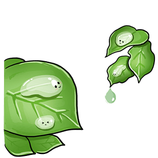 白露绿色树叶露水卡通插画