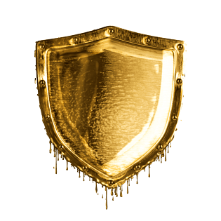 时尚金属元素盾牌图