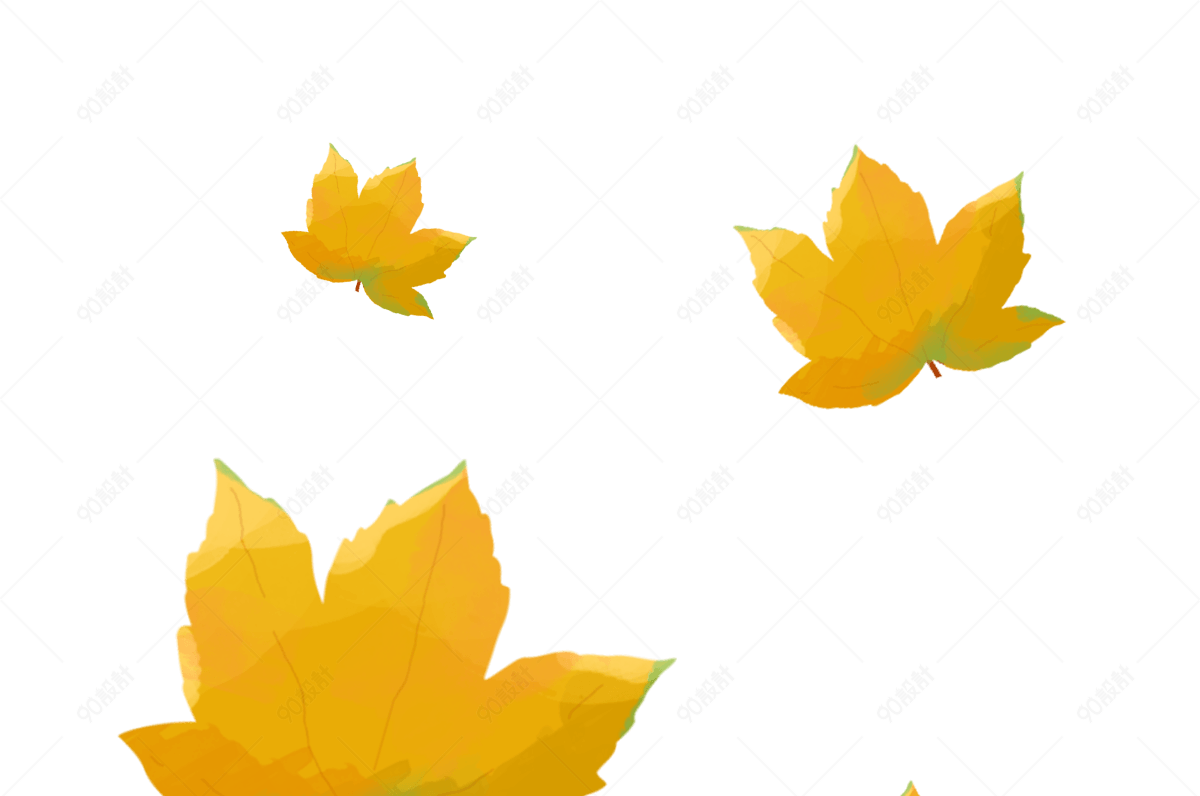 入秋秋季落叶枫叶水彩风