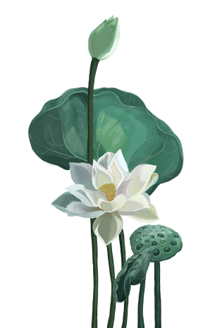 荷花图案图片大全