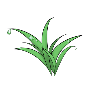 绿色植物草手绘插画