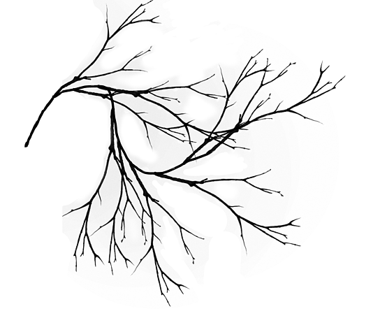 手绘秋季秋景矢量图pngpsd2000*2000矢量图秋季风景插画pngpsd2000*