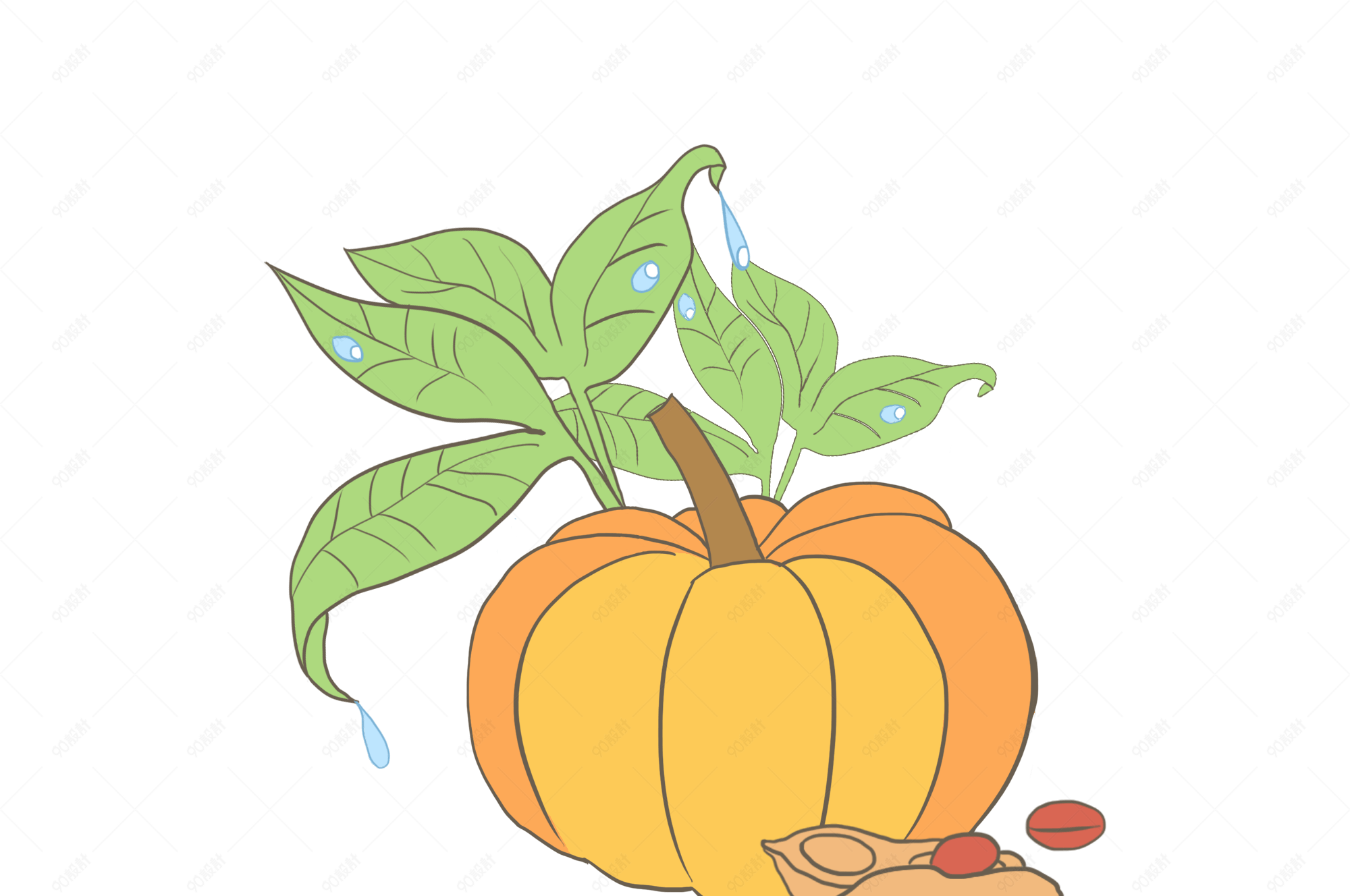 秋季农作物南瓜花生插画