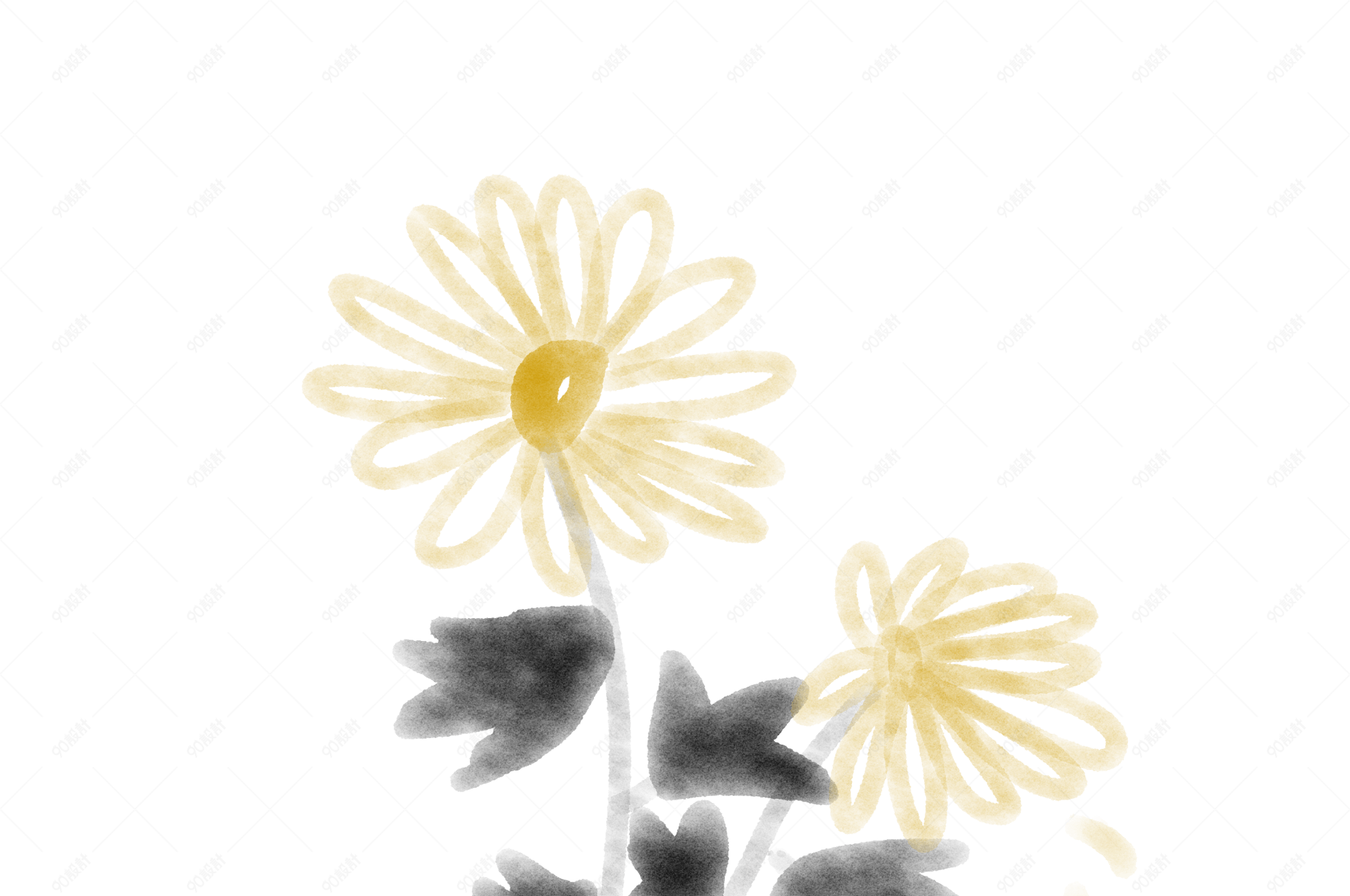 中国风水墨水彩手绘菊花