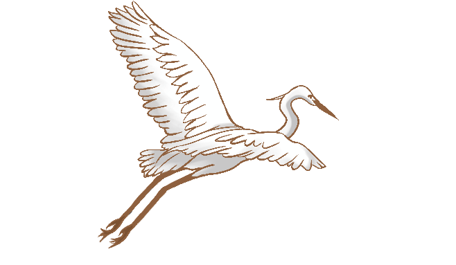 二十四节气中国风白露手绘白鹭素材