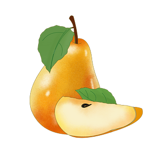 成熟的果实大鸭梨插画