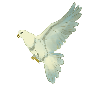 手绘和平鸽图片大全