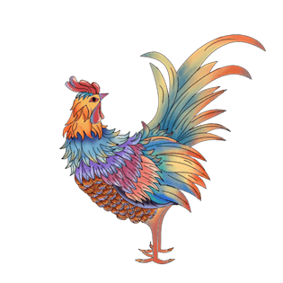 手绘中国风彩色公鸡
