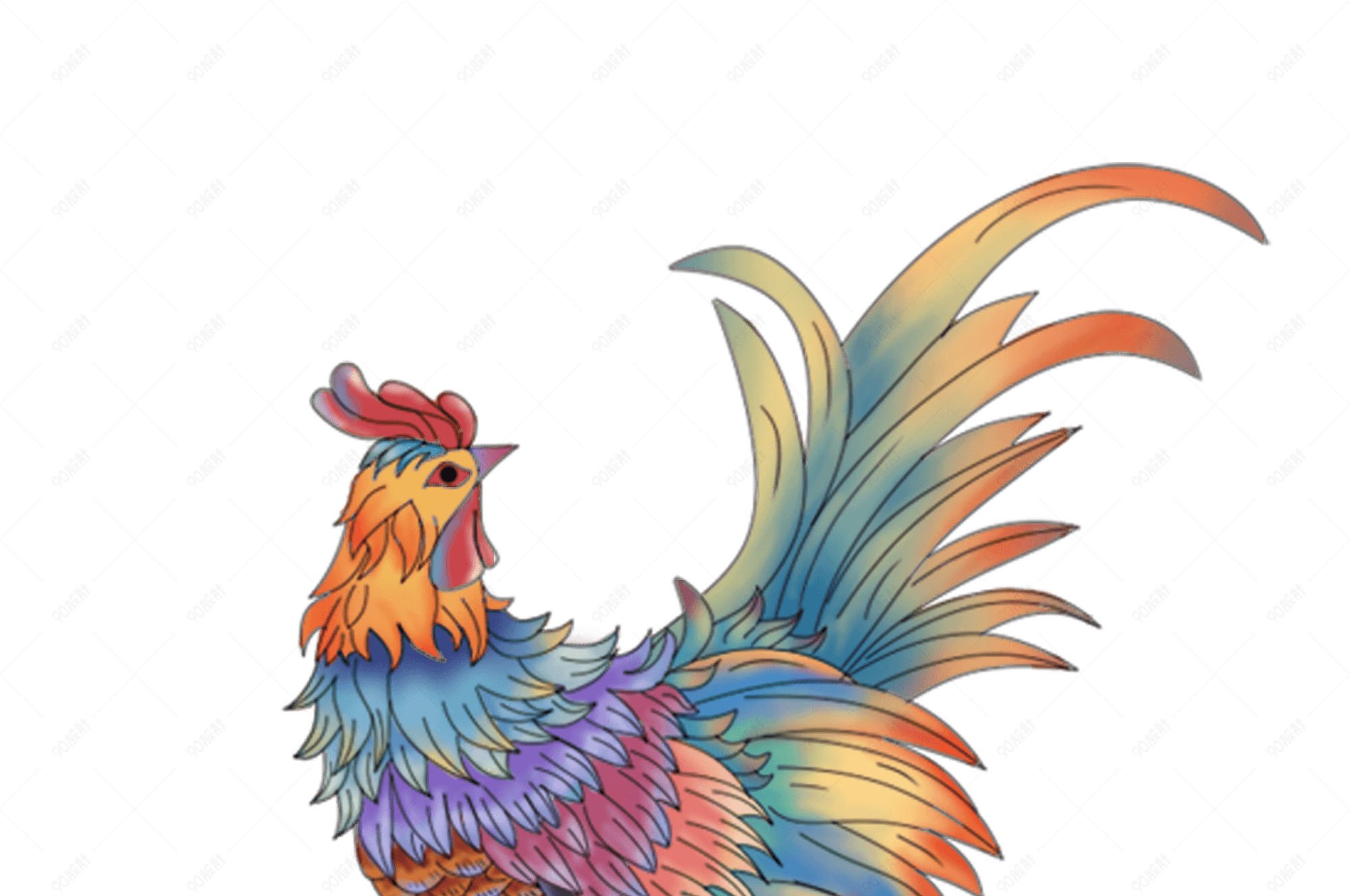 手绘中国风彩色公鸡