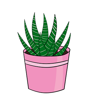 粉色花盆芦荟插画