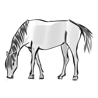 水墨骏马吃草插画