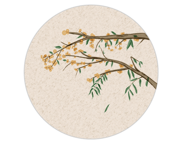 古风花卉手绘插画