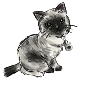 猫人图片大全 猫人图片素材 Png免费下载 90设计网 猫人图片大全 猫人图片素材 Png免费下载 90设计网