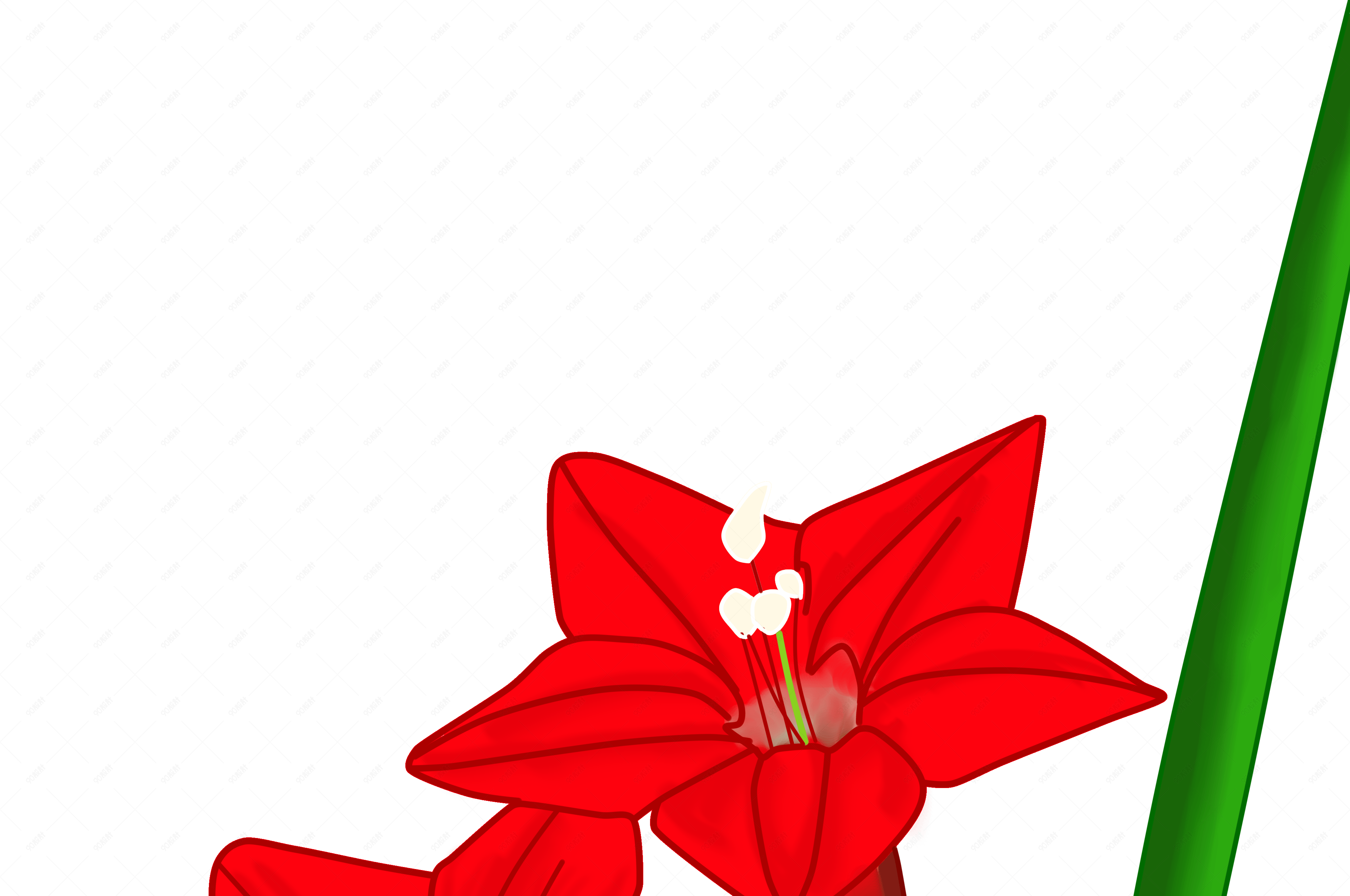 红色杜鹃花花开插画