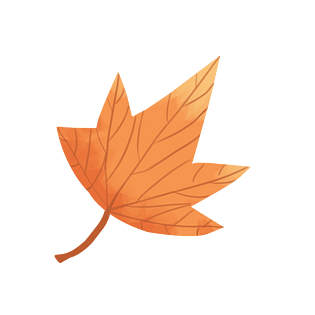 秋分秋季植物枫叶插画