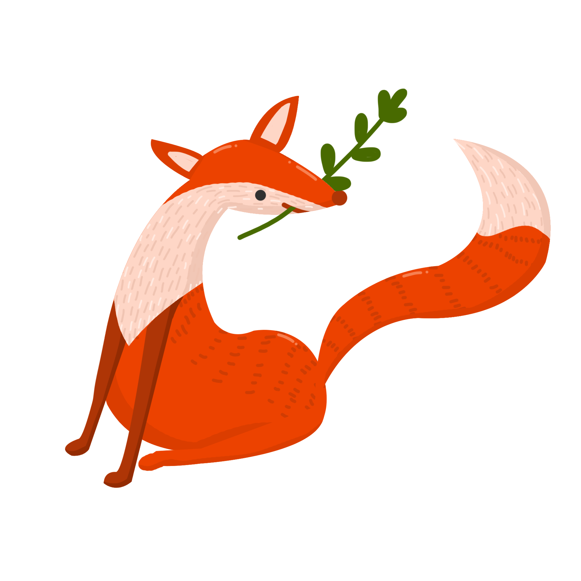 野生动物狐狸插画