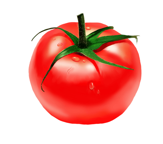 水果主题西红柿插画