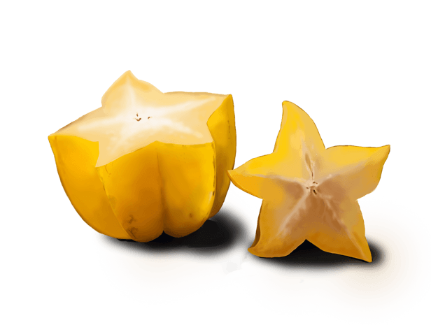 水果主题之杨桃插画