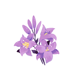 植物花枝紫色花卉插画