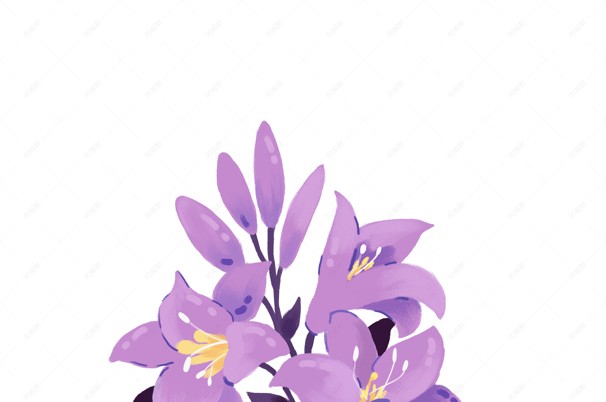 植物花枝紫色花卉插画