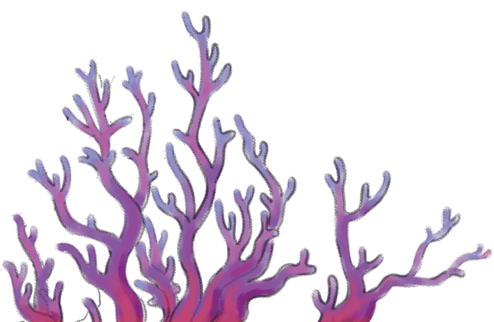 海草海洋海鲜pngpsd2000*2000卡通海底珊瑚海葵海星pngpsd2000*2000