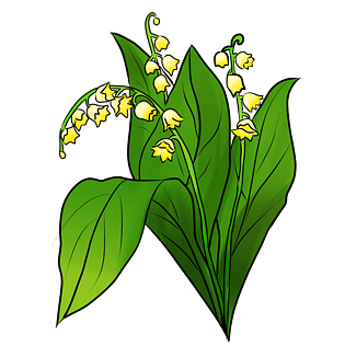 花卉植物风铃花插画