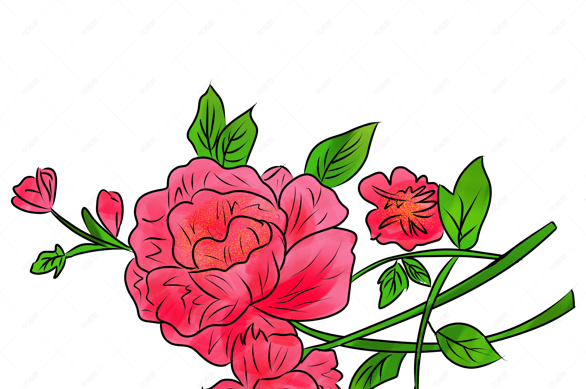 花卉植物牡丹插画