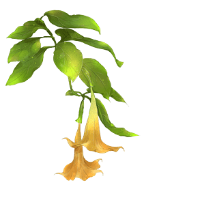 古风素材橙色曼陀罗