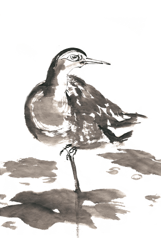 伫立的鸟水墨画png免抠素材