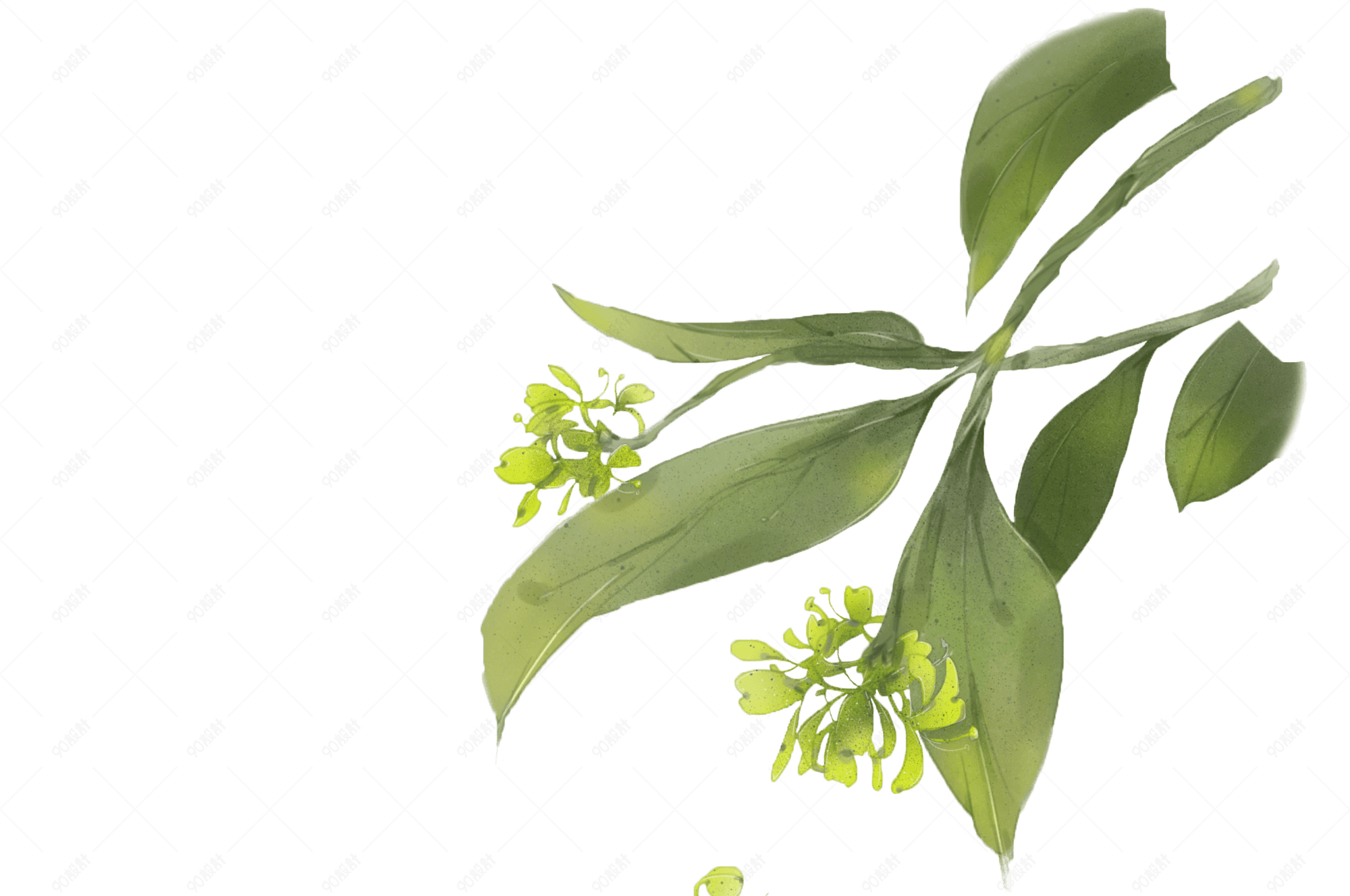 古风素材墨青色野姜花 免抠元素png 90设计网