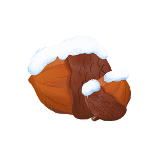 两个橡子卡通手绘 插画