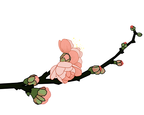 粉色梅花花枝插画