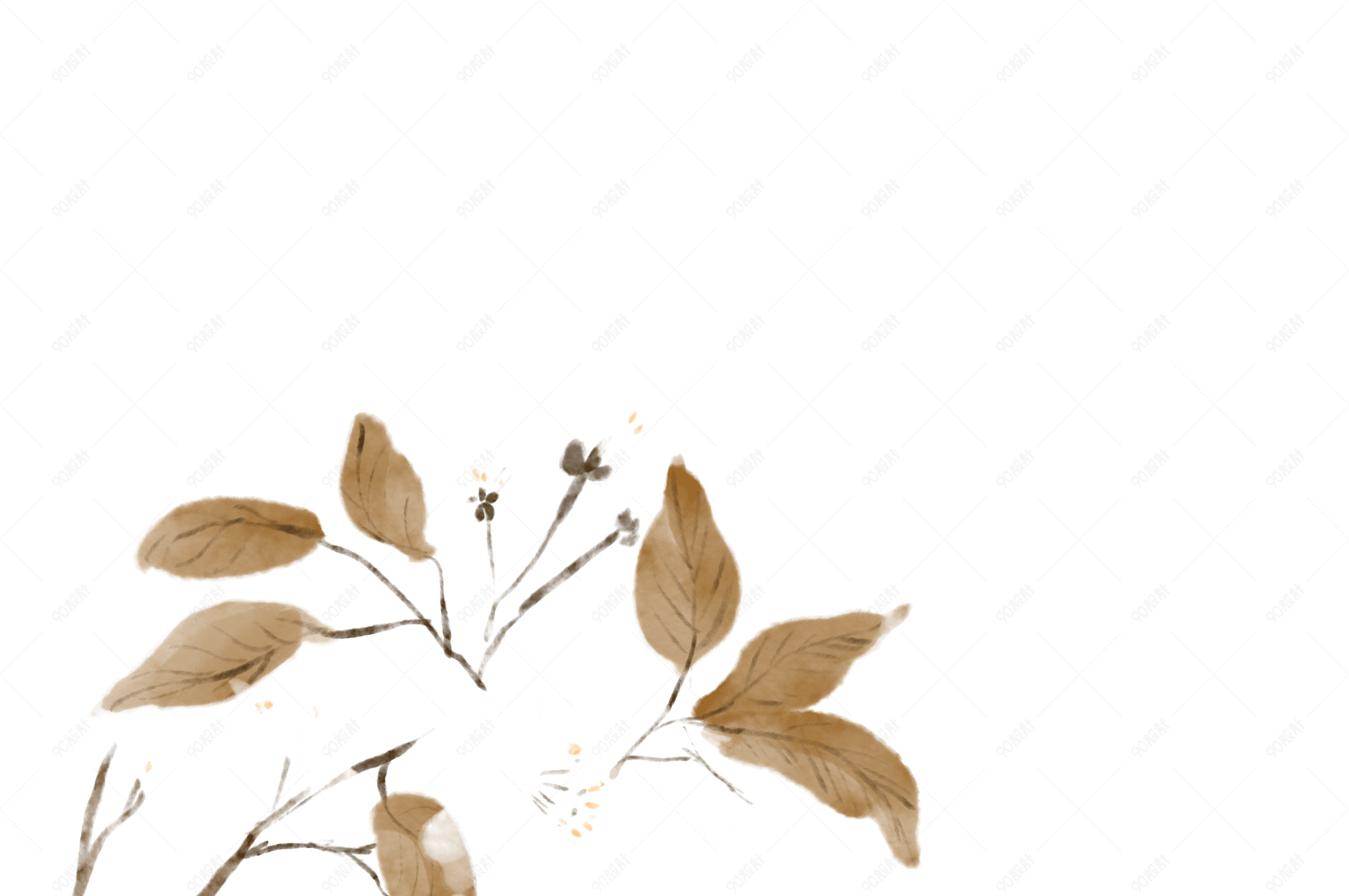 古风梨花水墨手绘