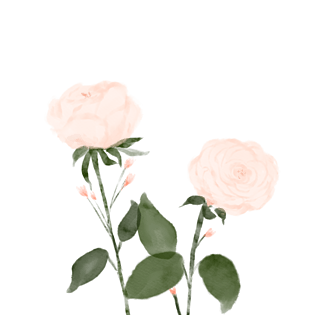 简约的花雨玫瑰红色pngpsd2000*2000简约玫瑰花绿叶框边pngpsd2000*