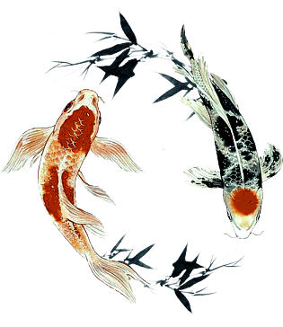 两条水墨画的鲤鱼