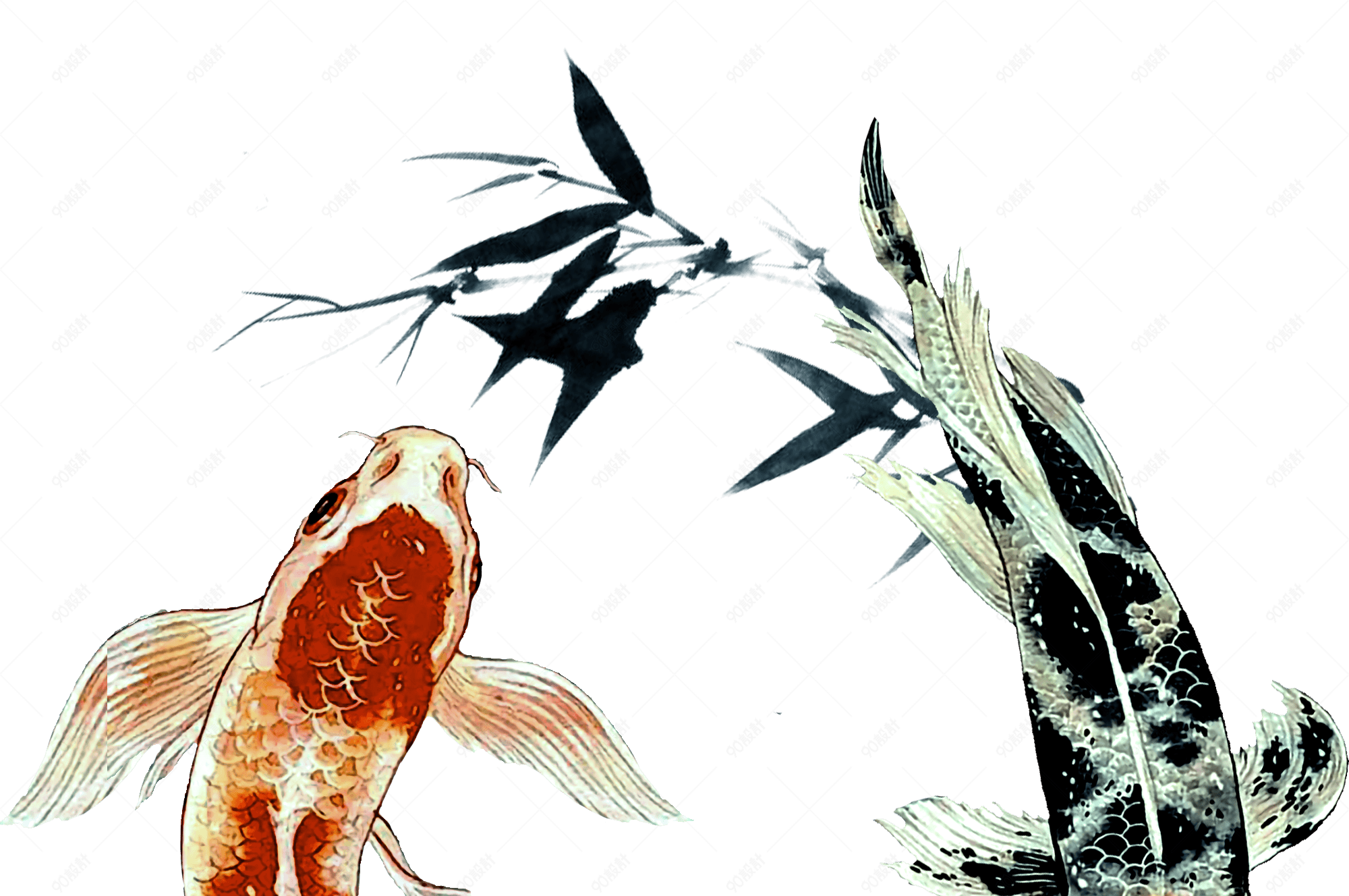 两条水墨画的鲤鱼